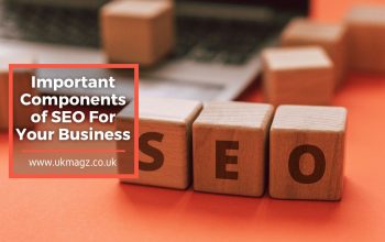 important-components-of-seo-for-your-business